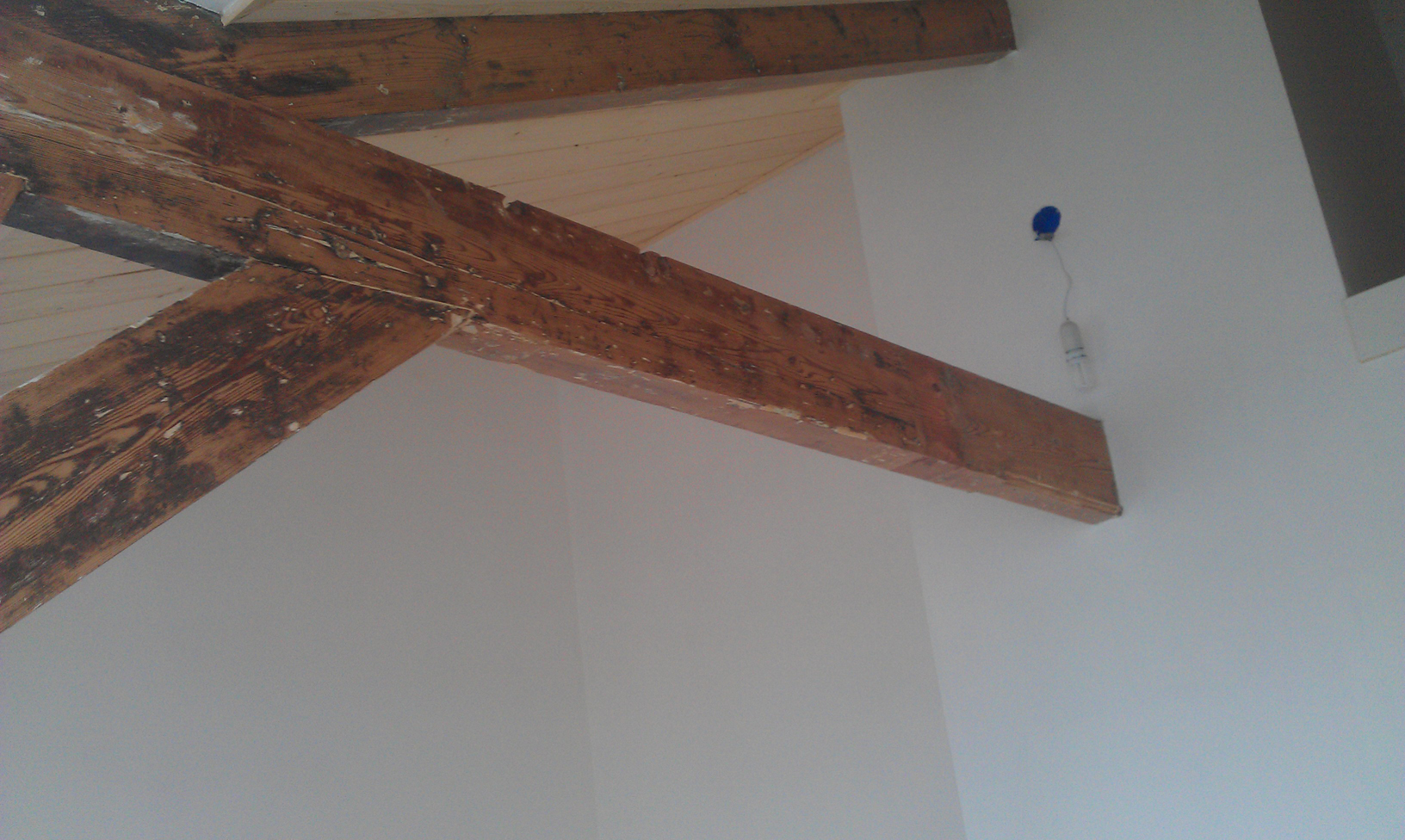 Totaal renovatie aan de dirk van zuylenstraat